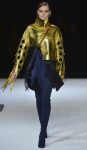 just cavalli autunno inverno 2014 2015 moda donna 5