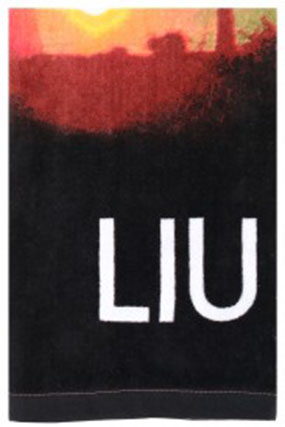 Moda-mare-Liu-Jo-primavera-estate-2016-telo-8