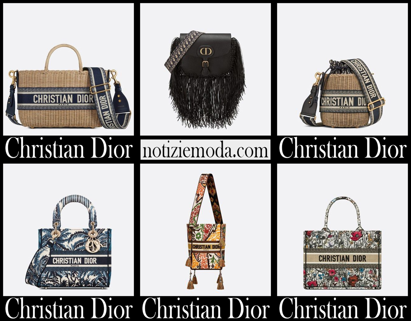 Nuovi arrivi borse Dior 2021 accessori moda donna
